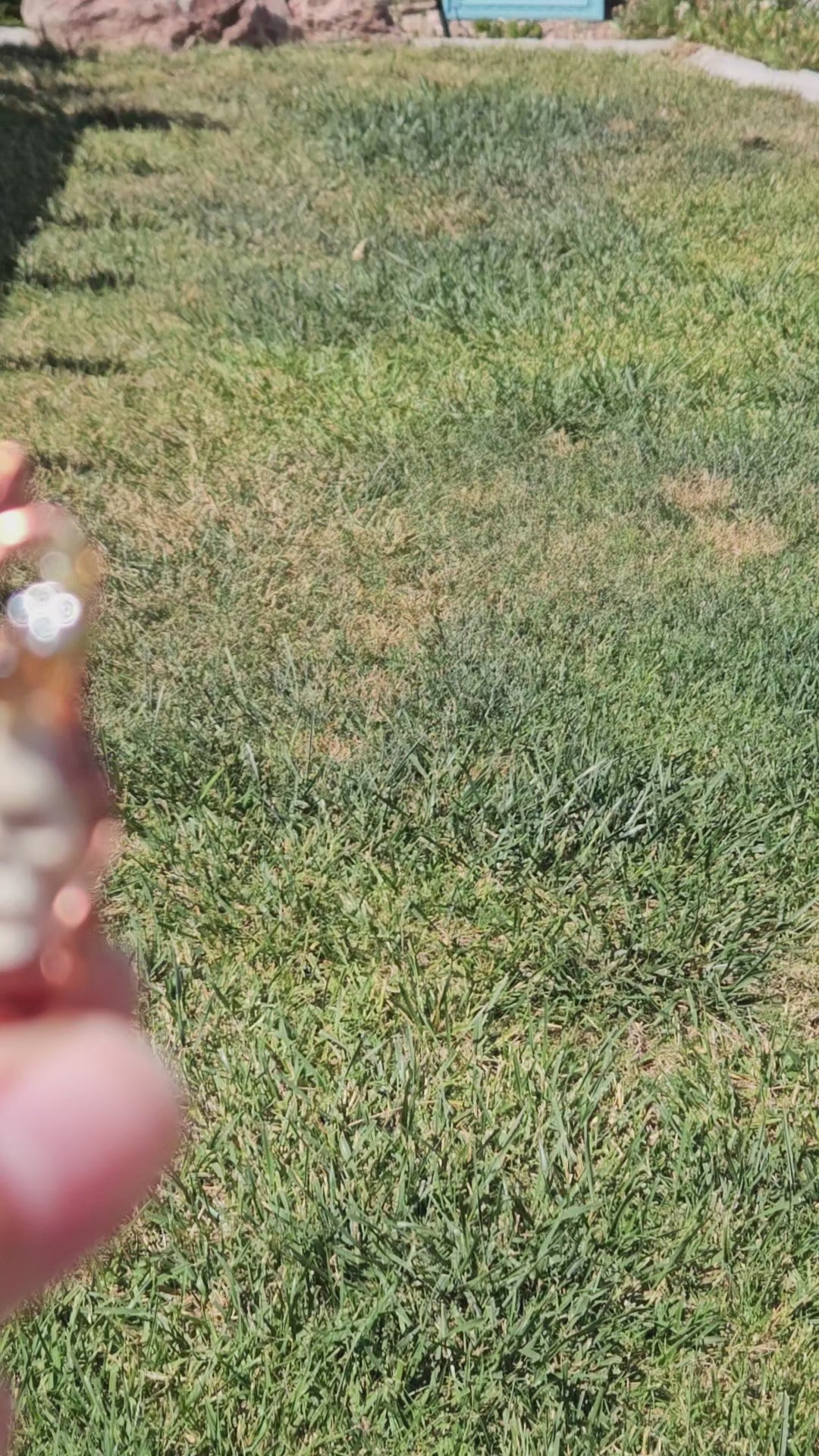 Overgrown garden skull pendant